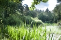 Beukenrode fotografie